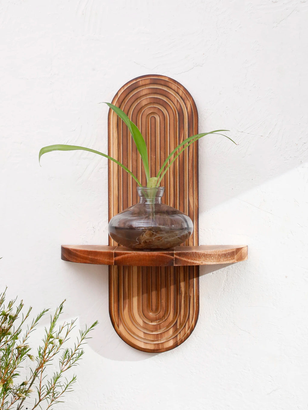 1/2-Tier Rustic Boho Wooden Wall Shelves - Charcoal Geometric Oval Wall-Mounted Shelves, Plants Display Stand, Home Decor Shelf