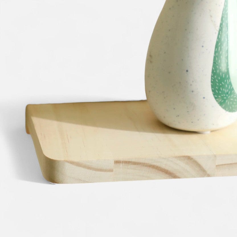 etagere murale plante interieur